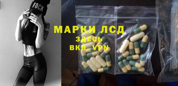 ешки Вяземский