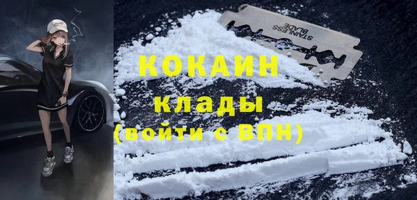 ешки Вяземский