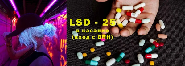ешки Вяземский
