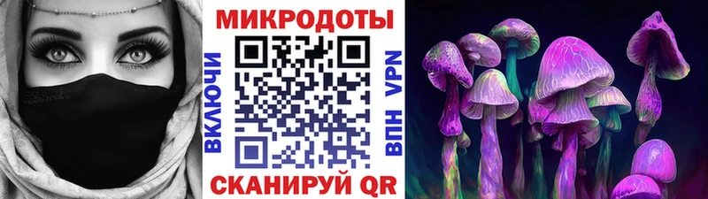 где купить наркоту Раменское Галлюциногенные грибы прущие грибы